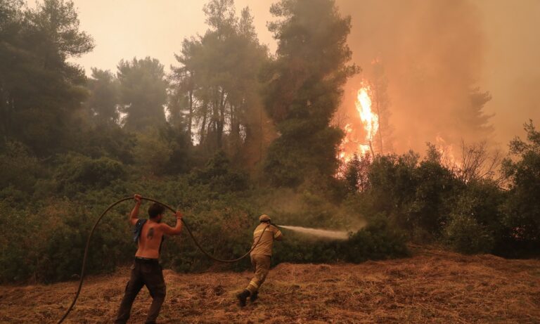 Φωτιά Εύβοια: Η στιγμή που πεύκο παίρνει φωτιά στη Γαλατσώνα