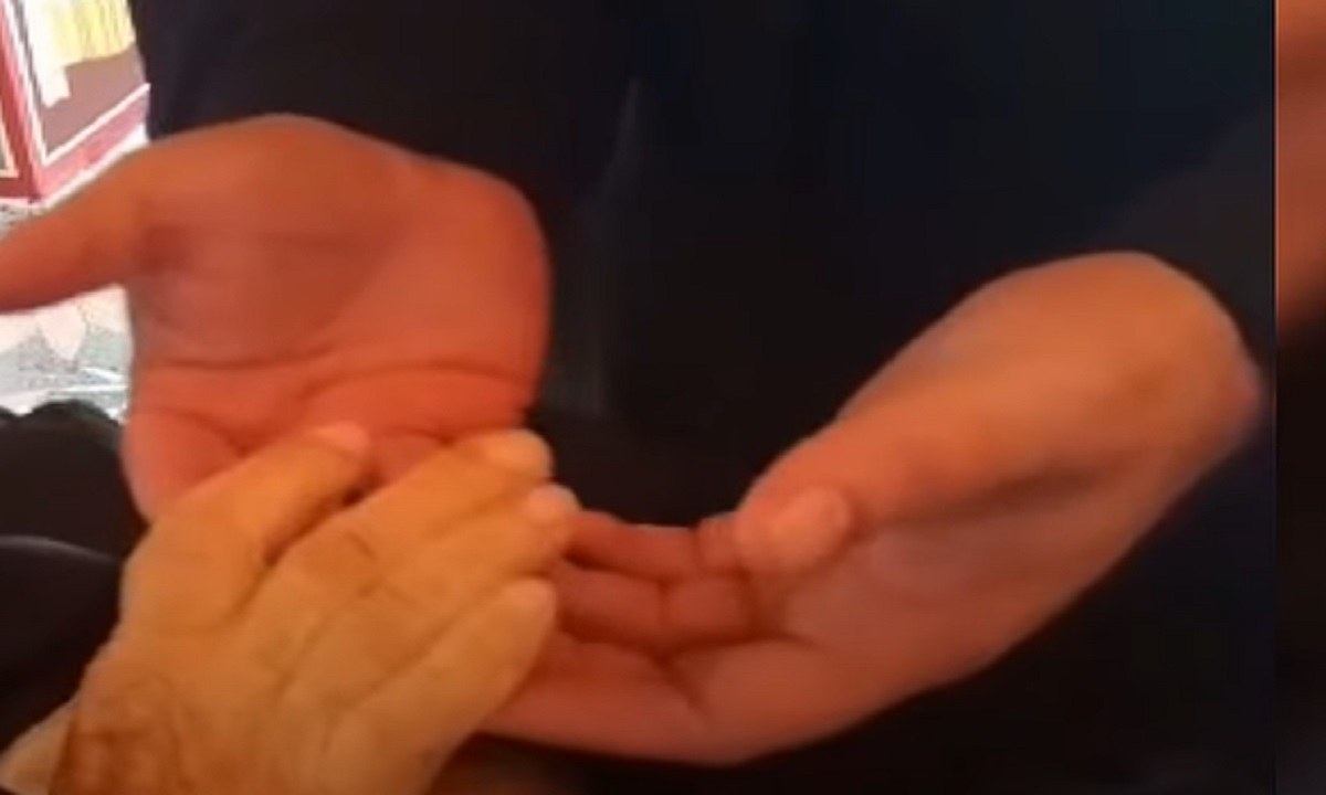 Σημάδια αγιότητας στην μακαριστή μοναχή Χριστονύμφη 24 ώρες μετά την κοίμησή της – Δείτε το βίντεο