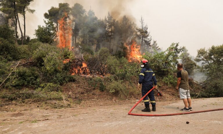 Φωτιά στην Εύβοια: Εκτός ελέγχου για 4η μέρα «Δεν είδαμε ποτέ πυροσβεστικά μηχανήματα»