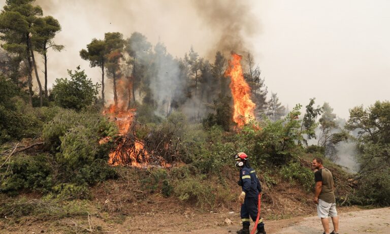 «Η φωτιά θα φτάσει στην Χαλκίδα» – Σκηνικό χάους στην Εύβοια