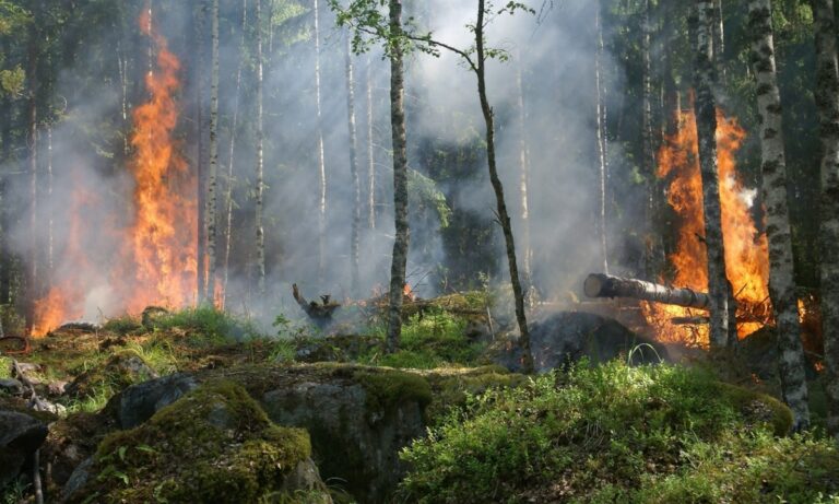Φωτιά: Πολύ υψηλός κίνδυνος την Τετάρτη (11/8) γι’ αυτές τις περιοχές