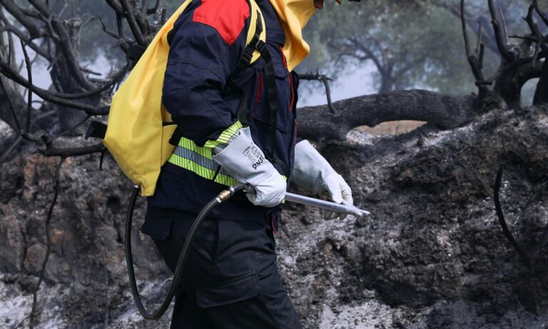 Φωτιές: Εθελοντής έβαζε φωτιές για να τις σβήνει ο ίδιος – Δεκαοχτώ συλλήψεις για εμπρησμούς