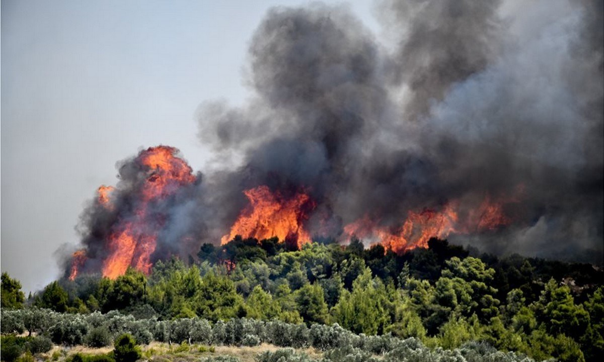 Φωτιά: Πολύ υψηλός κίνδυνος πυρκαγιάς (κατηγορία κινδύνου 4) προβλέπεται την Κυριακή 15 Αυγούστου 2021 για τις παρακάτω περιοχές της χώρας.