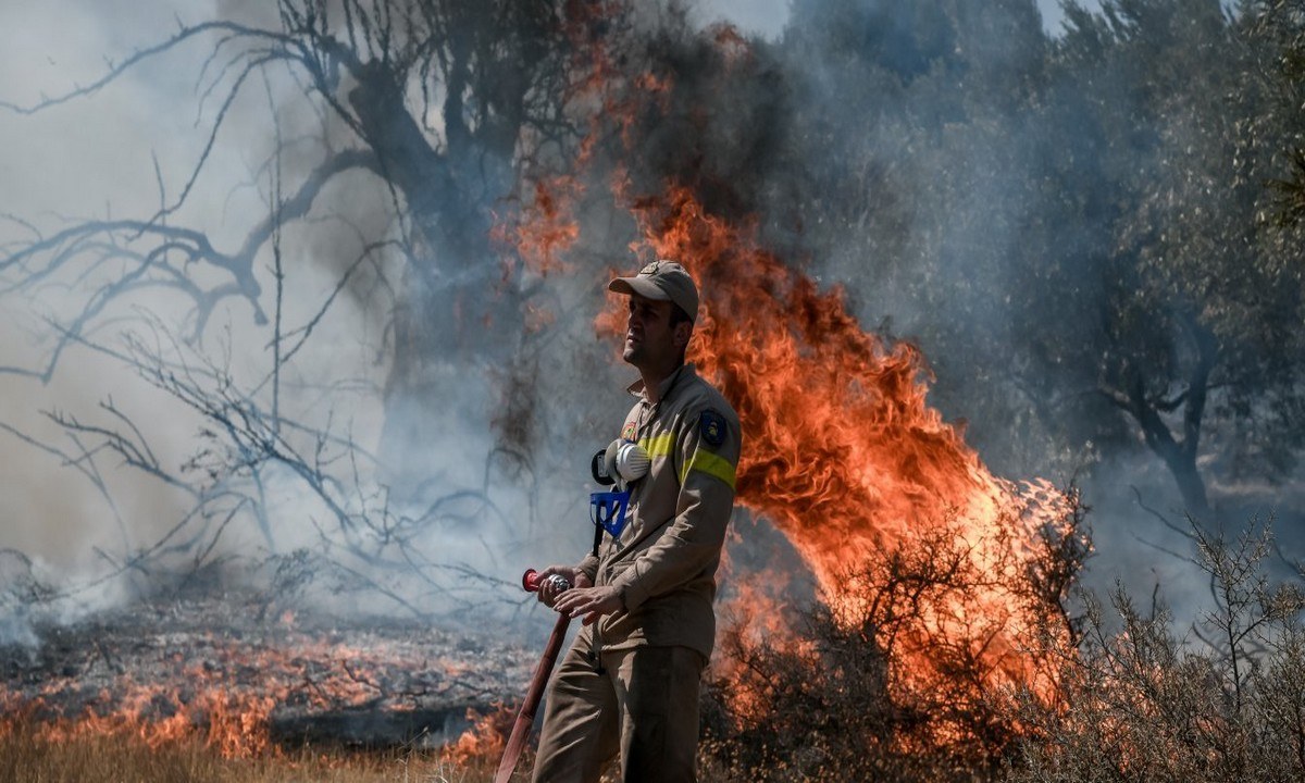 Φωτιά στα Βίλια: Πύρινη κόλαση για 4η μέρα - Εκκενώνονται οι οικισμοί Καραούλι, Παλαιοχώρι, Πανόραμα και Αγία Σωτηρία