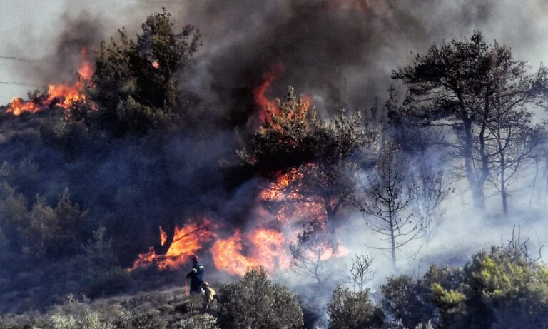 Φωτιά Κάρυστος: Συναγερμός στην περιοχή, φλόγες δίπλα σε σπίτια – Εντολή μέσω 112 για εκκένωση δύο οικισμών