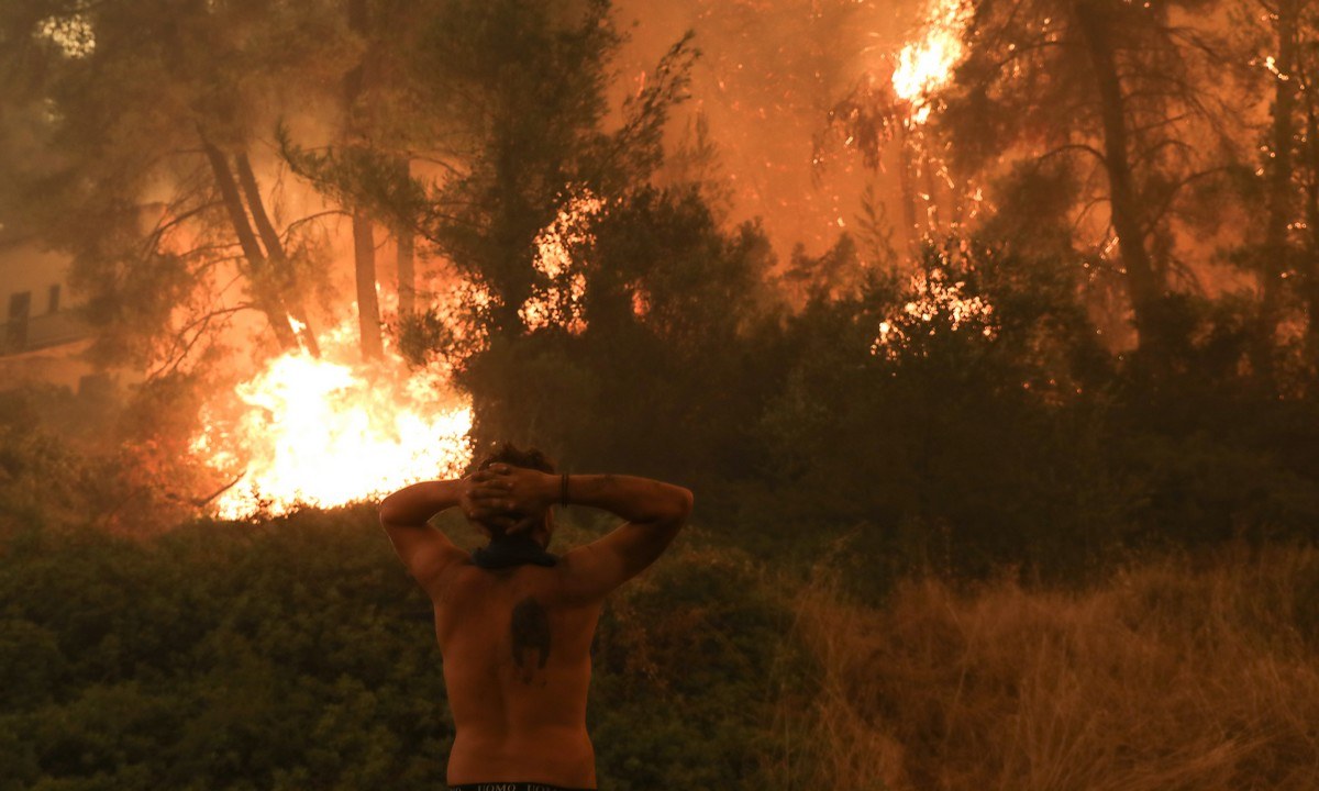Φωτιά - Εύβοια: Ακόμα μία ολονύχτια μάχη με τις φλόγες δίνουν οι κάτοικοι της πανέμορφης βόρειας πλευράς του νησιού που έχει πληγεί.- Δήμαρχος
