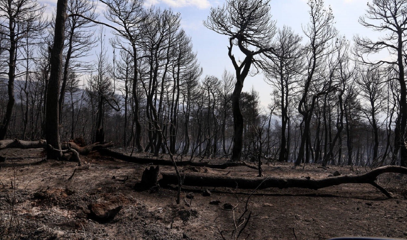 Φωτιά Εύβοια: Σοκαριστικό βίντεο από την καταστροφή – Προσοχή σκληρές εικόνες