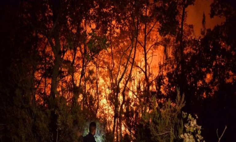 Ιταλία: Πέντε νεκροί από τις πυρκαγιές