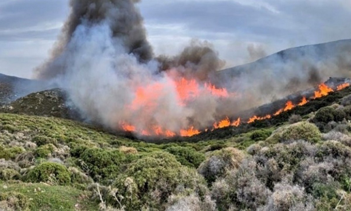 Φωτιά: Πολύ υψηλός κίνδυνος το Σάββατο (14/8) γι’ αυτές τις περιοχές