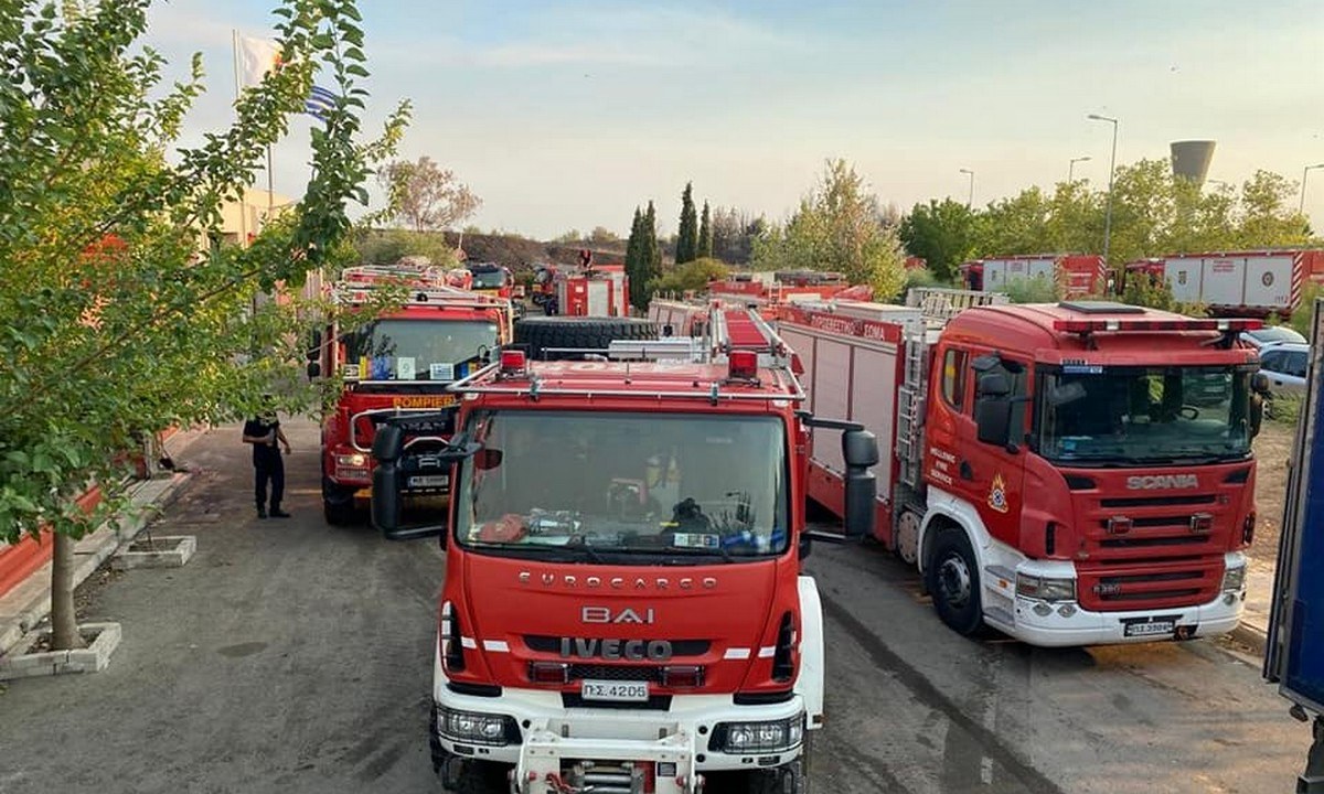 Φωτιές: 2,5 ώρες είχαν στα σύνορα τους Ρουμάνους πυροσβέστες για… τεστ Covid