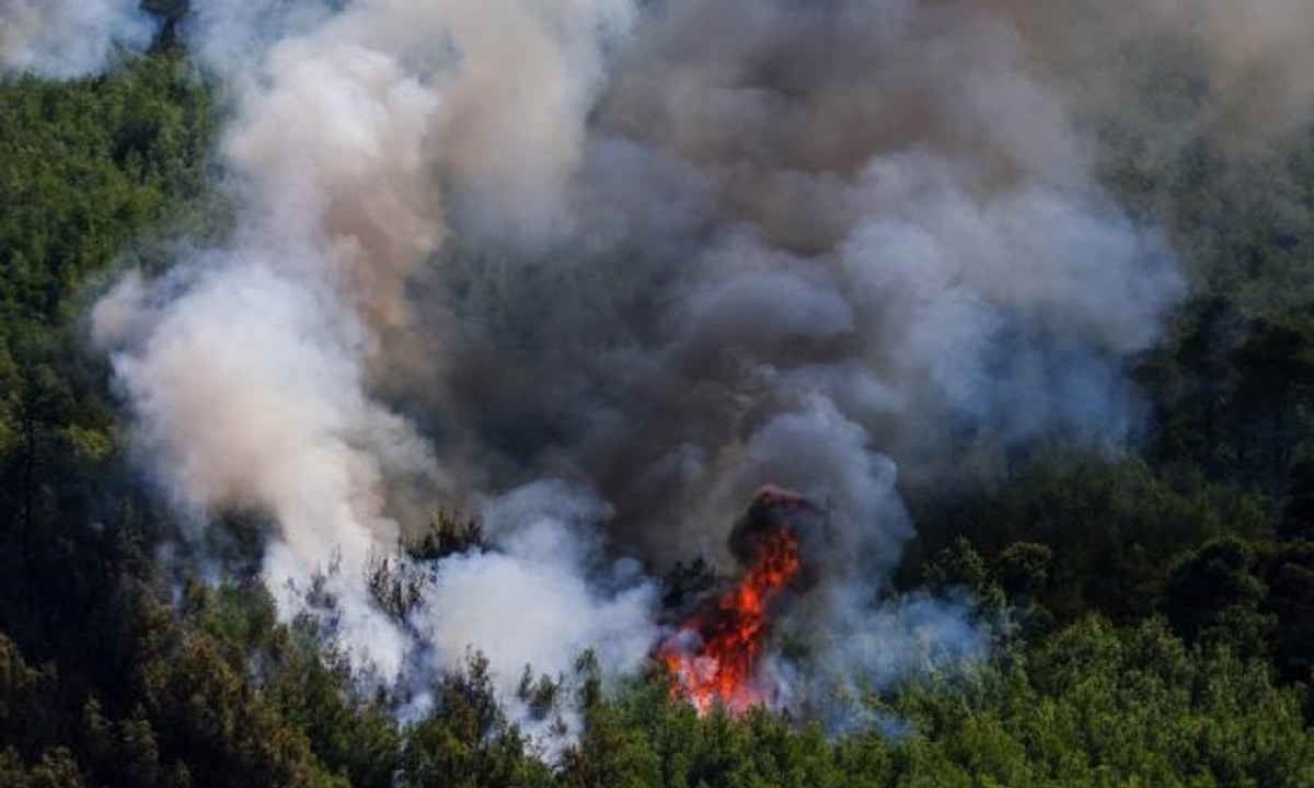 Θρίλερ: Βρήκαν κρανίο μετά τη φωτιά στα Βίλια