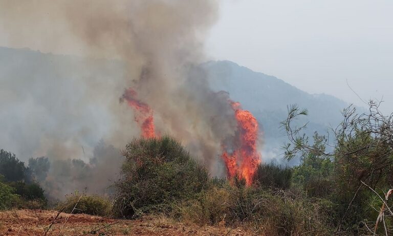 Φωτιά – Ηλεία: Εικονολήπτης του Alpha άφησε την κάμερα και πήγε να σβήσει την πυρκαγιά (pic)