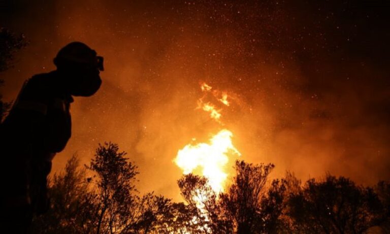 Φωτιά Κρυονέρι: Στα πρώτα σπίτια η φωτιά – Καίει πυκνό δάσος