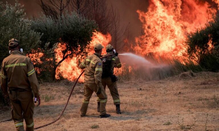 Φωτιά Πρόεδρος Πυροσβεστών: Θα οριοθετηθεί σήμερα η πυρκαγιά στην Εύβοια
