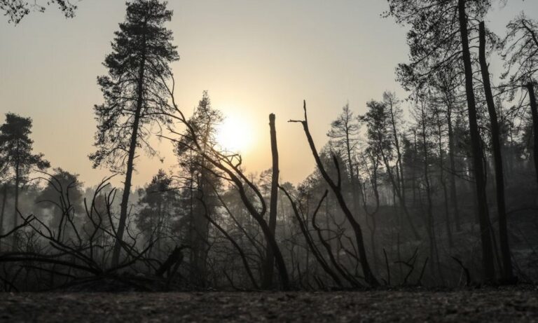 Φωτιές: Θα παραμείνουν για καιρό στην ατμόσφαιρα τα καρκινογόνα σωματίδια
