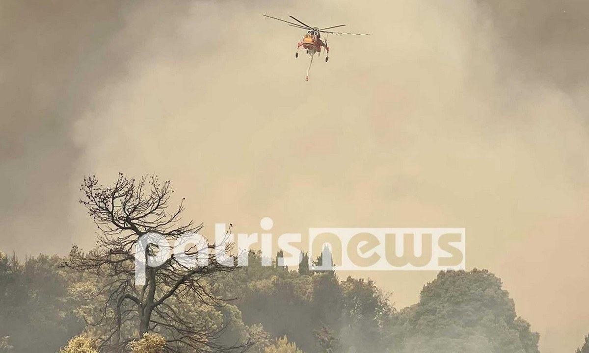 Οι φλόγες στην Ηλεία συνεχίζουν να καίνε εκτάσεις και να απειλούν κατοικημένες περιοχές, με τις εναπομείνασες πυροσβεστικές δυνάμεις να κάνουν υπεράνθρωπες προσπάθειες.