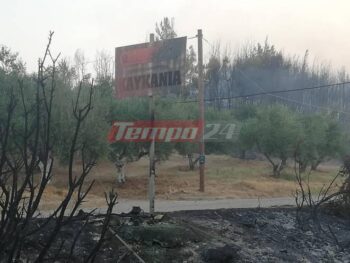 Το χωριό Καυκανιά δεν κατάφερε να γλιτώσει από το μένος της πυρκαγιάς που στην κυριολεξία το σάρωσε. Σπίτια καταστράφηκαν ολοσχερώς, με τις στέγες να καταρρέουν και να απομένουν μόνο τα άδεια κουφάρια των τοίχων, που στέκουν ακόμα όρθια. Το χωριό εκκενώθηκε μετά από τεράστιες προσπάθειες και συνεχείς εκκλήσεις της Πολιτικής Προστασίας. Οι κάτοικοι του δεν ήθελαν να εγκαταλείψουν τις περιουσίες τους, αλλά να μείνουν εκεί για να τις σώσουν. Άλλοι φοβούνται πως αν φύγουν θα εγκλωβιστούν στον δρόμο αφού η φωτιά πλησίαζε από παντού.