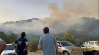 Το χωριό Καυκανιά δεν κατάφερε να γλιτώσει από το μένος της πυρκαγιάς που στην κυριολεξία το σάρωσε. Σπίτια καταστράφηκαν ολοσχερώς, με τις στέγες να καταρρέουν και να απομένουν μόνο τα άδεια κουφάρια των τοίχων, που στέκουν ακόμα όρθια. Το χωριό εκκενώθηκε μετά από τεράστιες προσπάθειες και συνεχείς εκκλήσεις της Πολιτικής Προστασίας. Οι κάτοικοι του δεν ήθελαν να εγκαταλείψουν τις περιουσίες τους, αλλά να μείνουν εκεί για να τις σώσουν. Άλλοι φοβούνται πως αν φύγουν θα εγκλωβιστούν στον δρόμο αφού η φωτιά πλησίαζε από παντού.