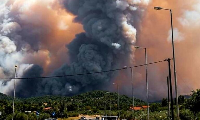 Φωτιά Ιστιαία: Κηρύχθηκε σε κατάσταση έκτακτης ανάγκης (vid)