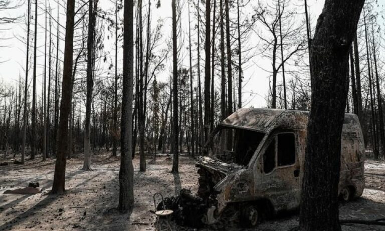 Συγκλονίζει η έρευνα του Sportime: Αύξηση 500% των καμένων εκτάσεων σε σχέση με το 2020