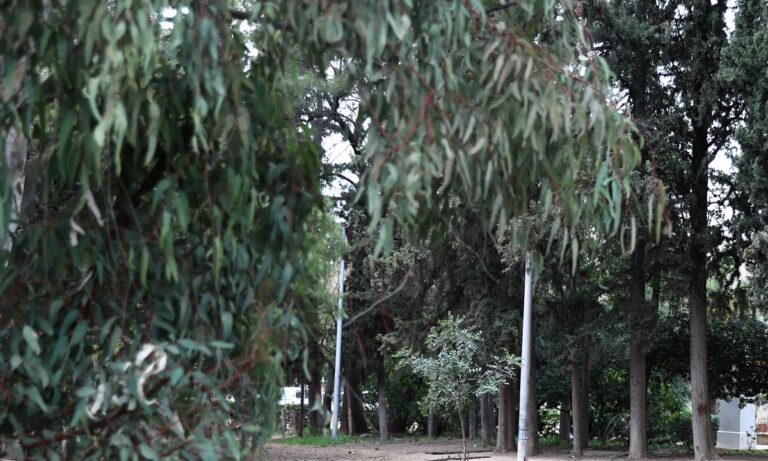Φωτιές: Αφέθηκε ελεύθερη η Αφγανή που πήγε να κάψει το Πεδίον του Άρεως;