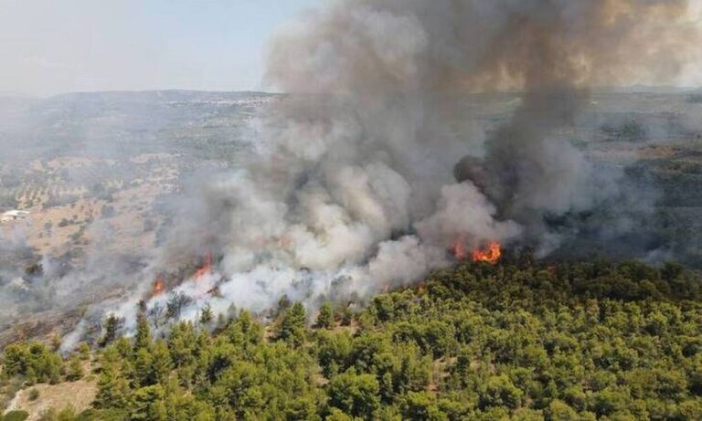 Δυτική Μακεδονία: Τρία τα πύρινα μέτωπα σε Κοζάνη και Γρεβενά!