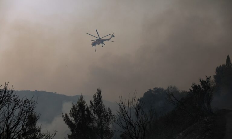 Φωτιές: Συνεχής η μάχη με τις αναζωπυρώσεις σε Πελοπόννησο και Εύβοια