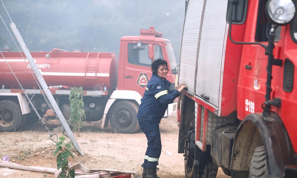Φωτιά Εύβοια: Αρκετές ώρες είχε να στείλει μήνυμα εκκένωσης κάποιας περιοχής η Υπηρεσίας Πολιτικής Προστασίας μέσω του 112. Το νέο μήνυμα αφορά τις Μηλιές Ευβοίας. 