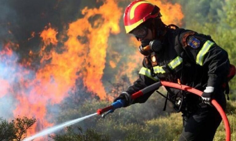 Ρουμανικά ΜΜΕ: Οι Ρουμάνοι πυροσβέστες θεωρούνται «εξωγήινοι» από τους Έλληνες