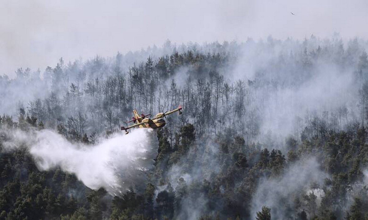 Φωτιά στα Βίλια: 3η μέρα καταστροφής – Κίνδυνος για Παλαιοχώρι και Θέα