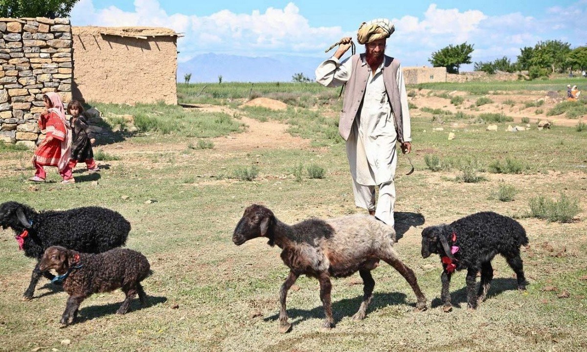 Οι Ταλιμπάν κόβουν το... ξύρισμα στο Αφγανιστάν