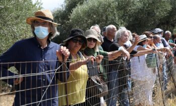 Μίκης Θεοδωράκης | Αθάνατος