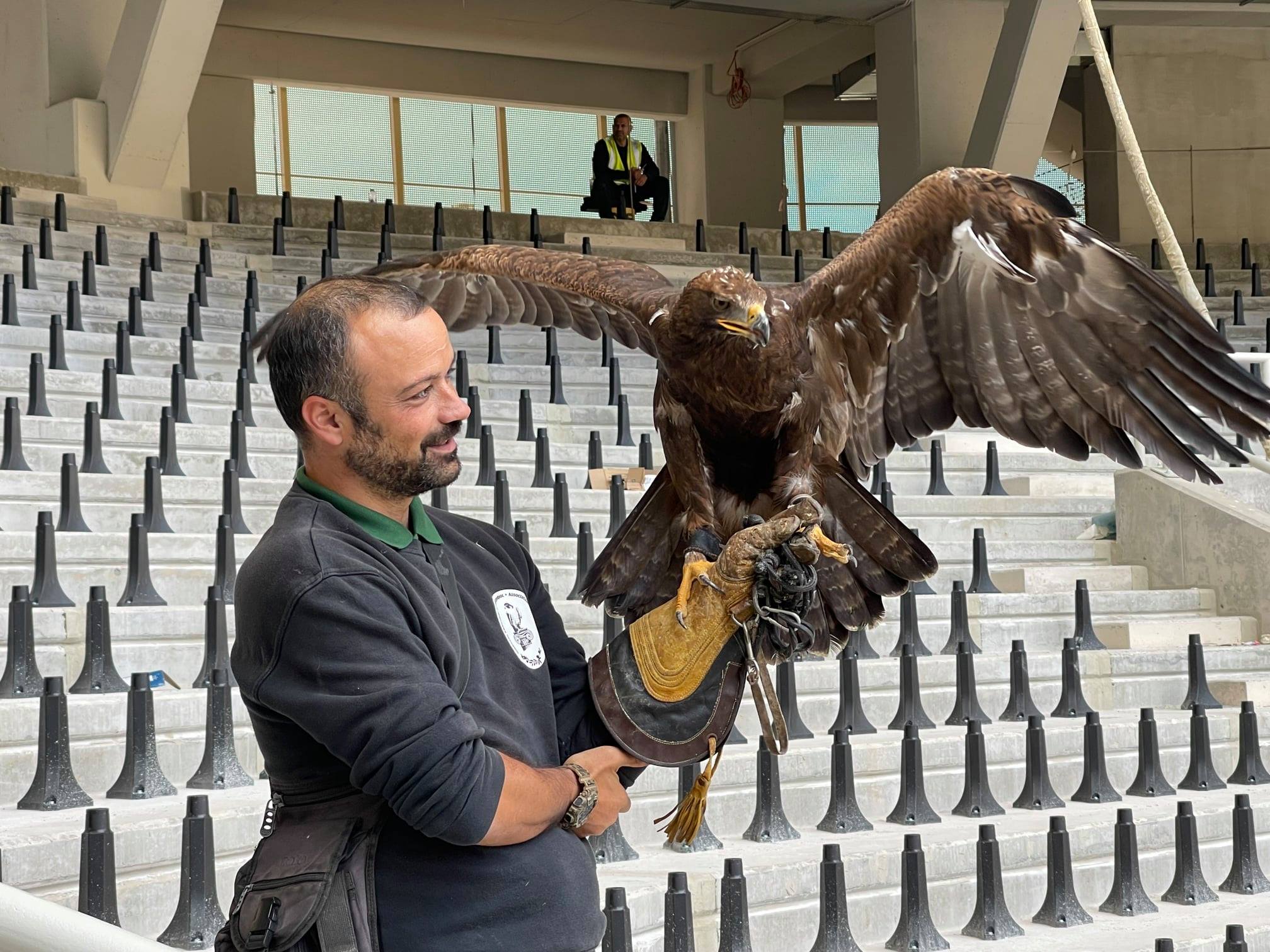 ΑΕΚ: Αυτός είναι ο αετός που θα πετάει στο νέο γήπεδο! (pics)
