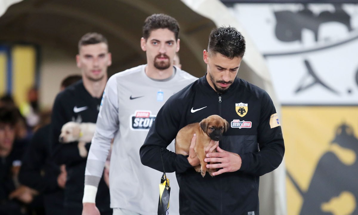 Εγινε χαμός για τα κουτάβια: Οπαδοί και παίκτες της ΑΕΚ θέλουν να τα υιοθετήσουν! (pics-vid)