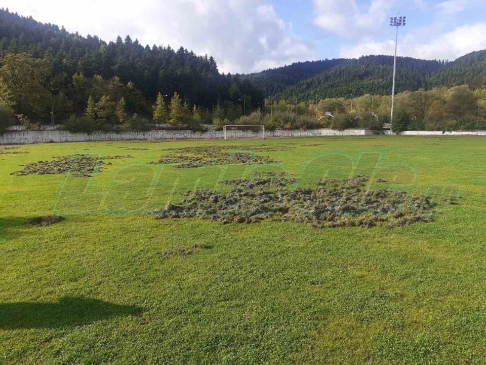 Καρπενήσι: Αγριογούρουνα κατέστρεψαν τα γήπεδα του Αθλητικού Κέντρου