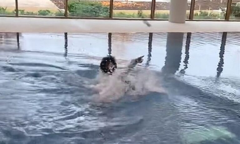 Λέστερ: Η επική αντίδραση του Τσάουντρι όταν ο Μάντισον τον έριξε στην πισίνα! (vid)