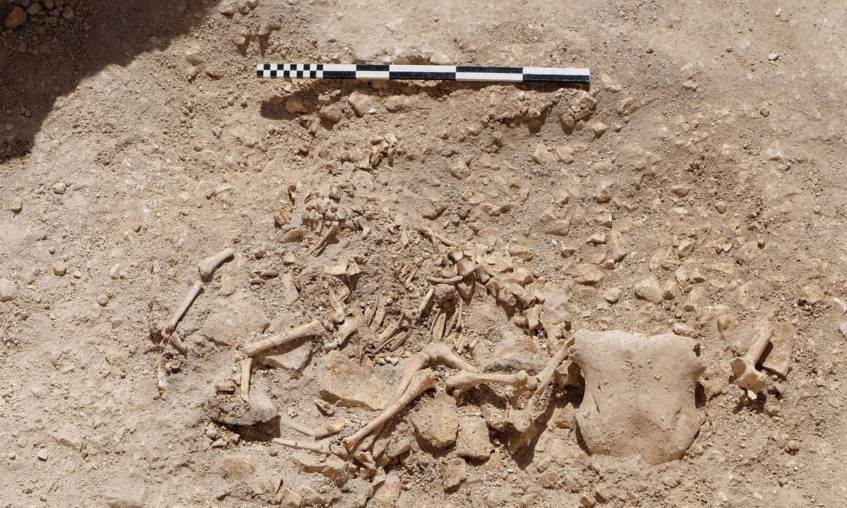 Τουρκία: Βρήκαν σκελετό αγνώστου είδους – Ψάχνουν να βρουν τι είναι