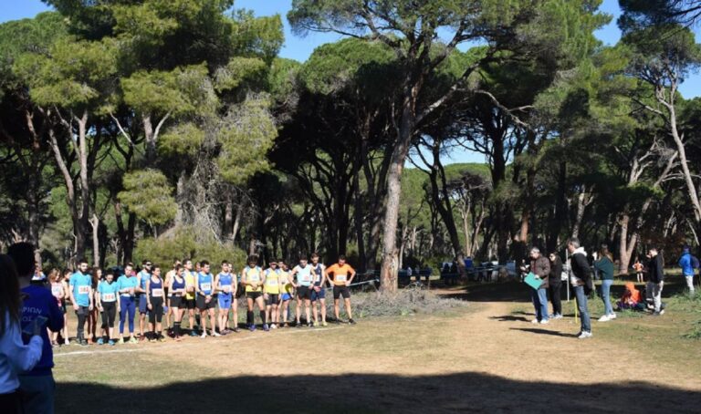 Με τη συμμετοχή πολλών νεαρών κυρίως, αθλητών διεξήχθη ο αγώνας δρόμου Αλληλεγγύης και Προσφοράς ανωμάλου δρόμου στο Νότιο Πάρκο στην Πάτρα.