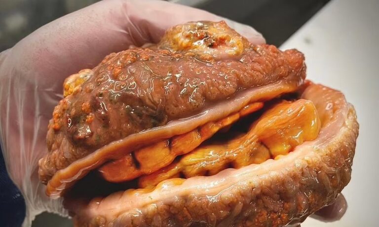 Ρωσία: Αλιεύει αλλόκοτα ψάρια – Δείτε φωτογραφίες