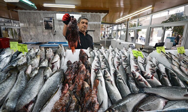 Τουρκία: Τρώνε σαν τρελοί δηλητηριώδες ψάρι – Το πληρώνουν χρυσάφι