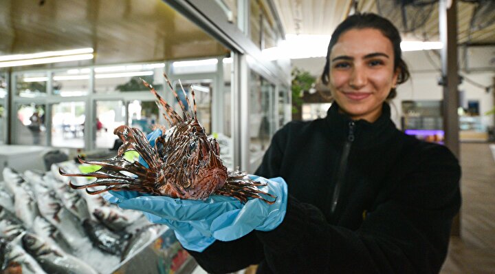 Τουρκία: Τρώνε σαν τρελοί δηλητηριώδες ψάρι - Το πληρώνουν χρυσάφι