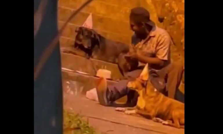 Viral: Το βίντεο άστεγου άντρα ο οποίος γιορτάζει τα γενέθλια του σκύλου του στον δρόμο