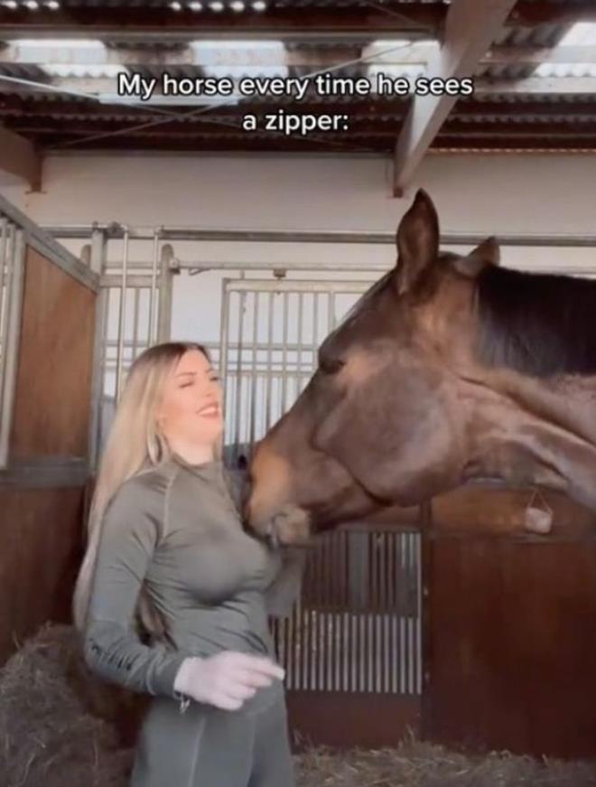 Άλογο της άνοιξε το φερμουάρ στον αέρα! (pics)