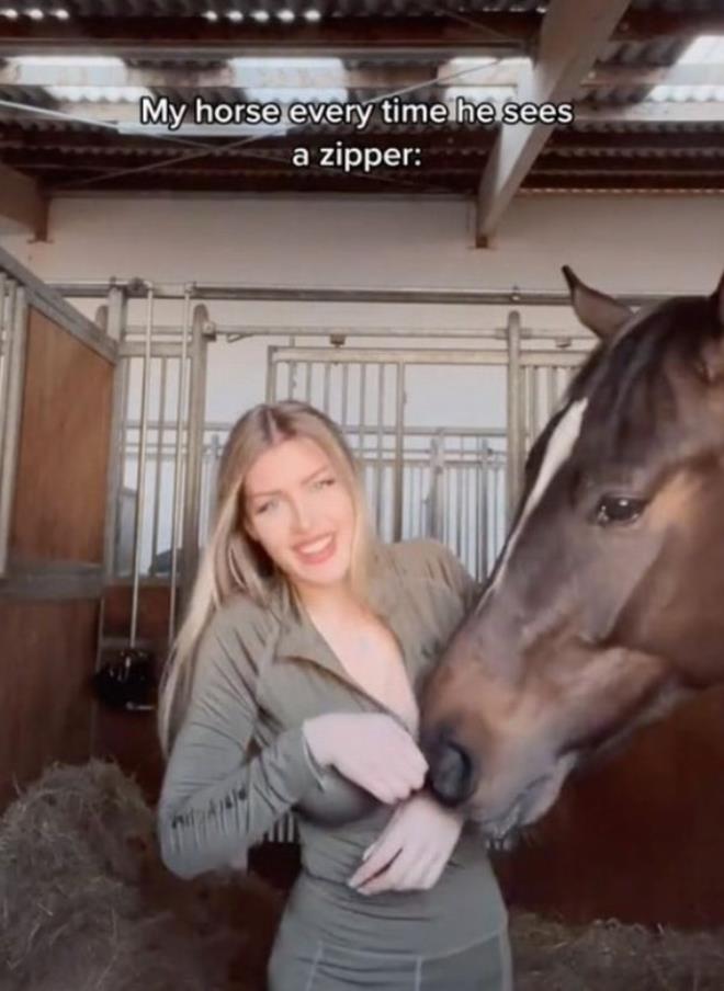 Άλογο της άνοιξε το φερμουάρ στον αέρα! (pics)