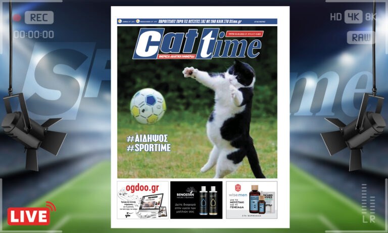 e-Sportime (3/5): Κατέβασε την ηλεκτρονική εφημερίδα – Γάτες και γατάκια