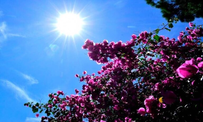 Καιρός (22/5): Ηλιοφάνεια σε μεγάλο μέρος της χώρας την Κυριακή – Που θα ρίξει χαλάζι