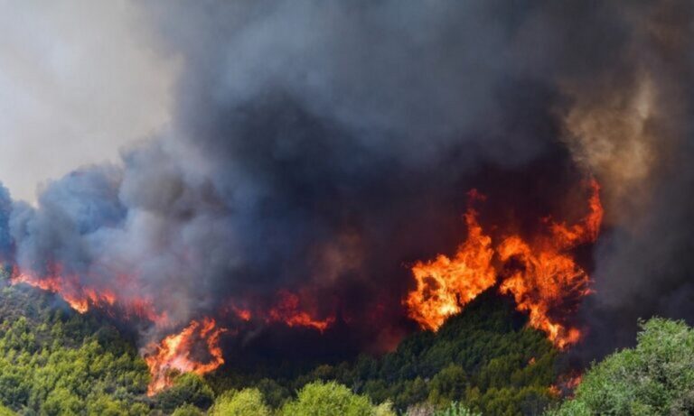 Φωτιά τώρα 2/6: Αυτές οι περιοχές κινδυνεύουν με πυρκαγιά