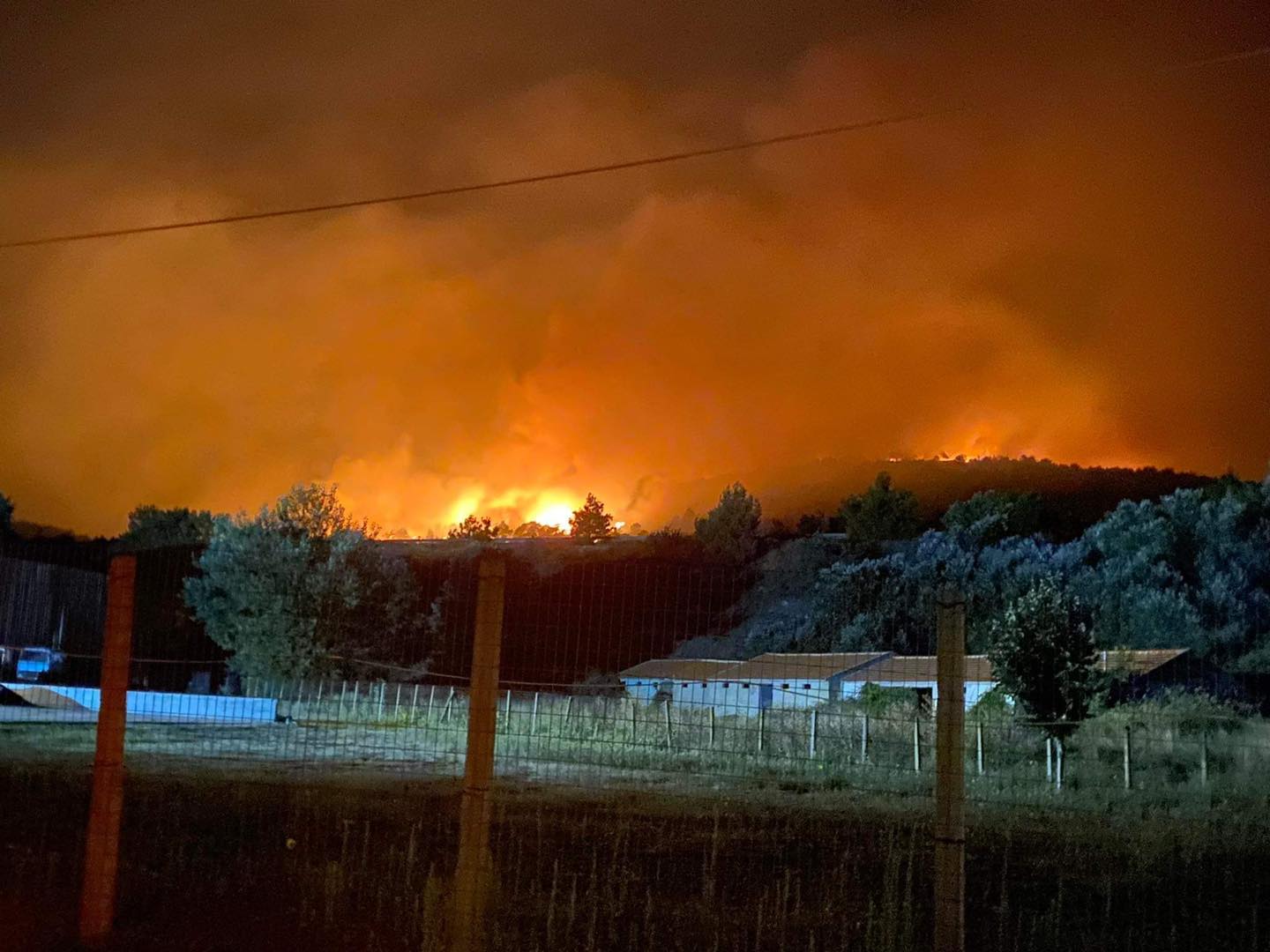 Φωτιά στον Έβρο: Ασύλληπτη η καταστροφή στο δάσος της Δαδιάς - Καίγεται για 4η μέρα το Εθνικό πάρκο
