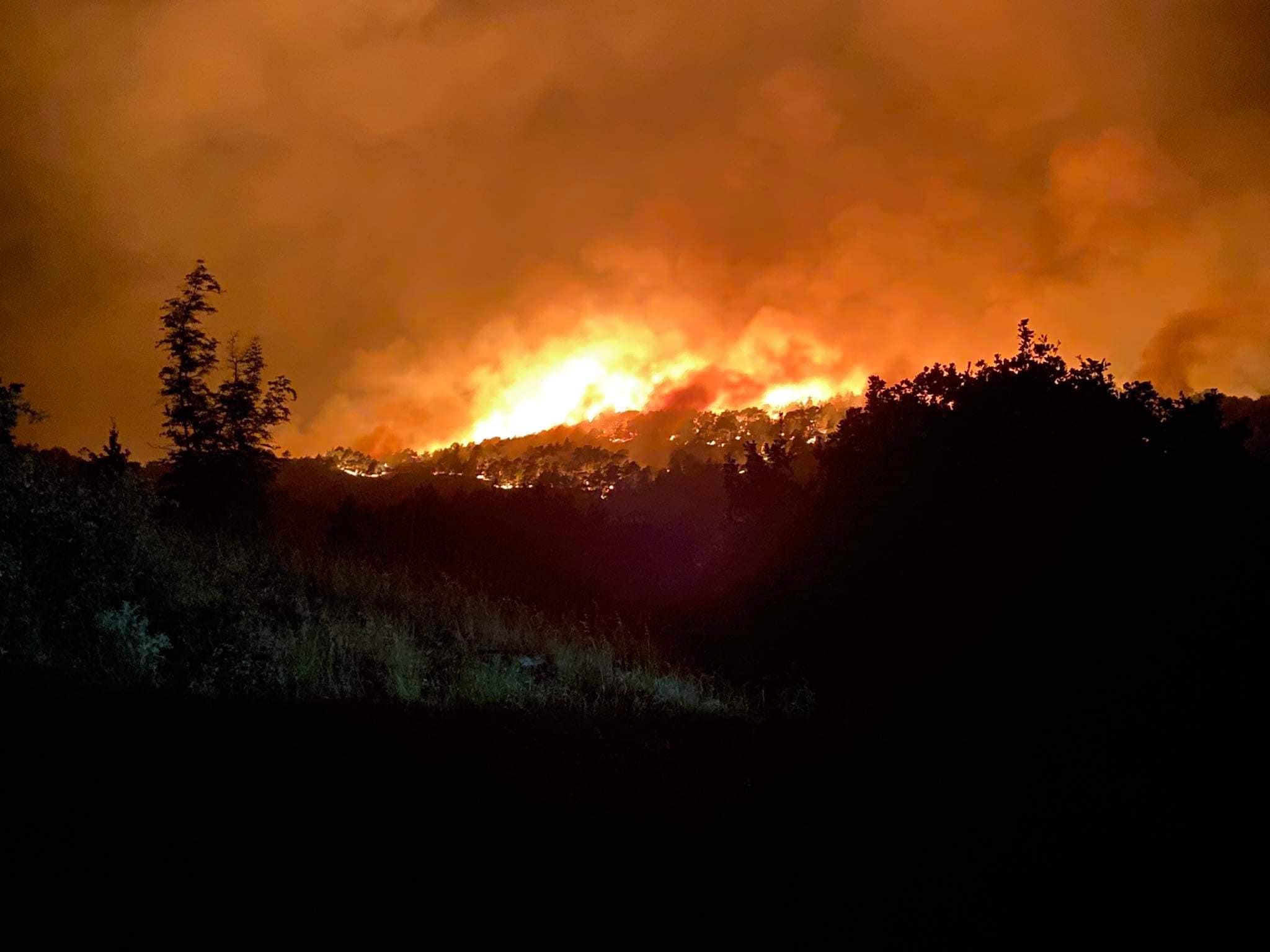 Φωτιά στον Έβρο: Ασύλληπτη η καταστροφή στο δάσος της Δαδιάς - Καίγεται για 4η μέρα το Εθνικό πάρκο
