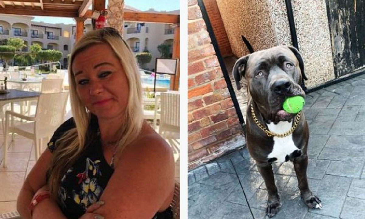 Αγγλία: Τη σκότωσε ο ίδιος της ο σκύλος